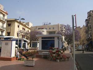 oran 254